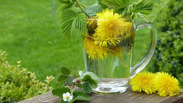 dandelion-2232626_640