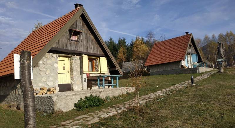 viber_image_2021-01-31_08-03-58