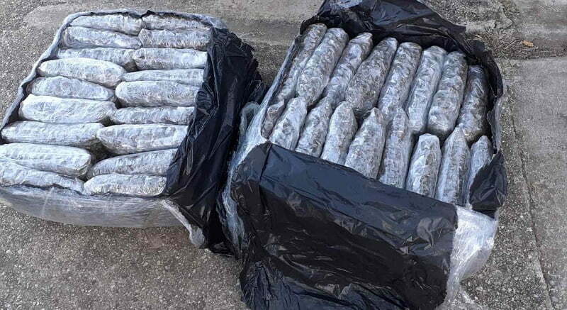 img_26022021_145855_800_x_437_pixel