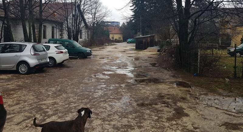 neasfaltirana_ulica