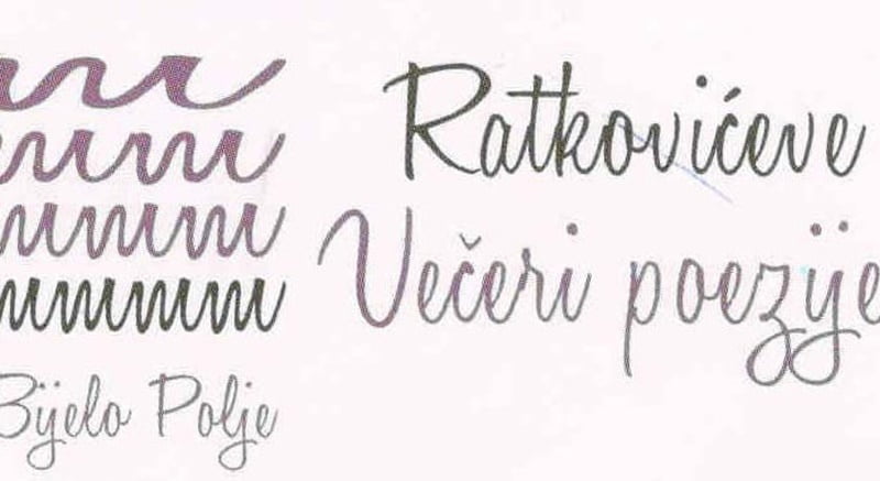 rvp-logo-750x381