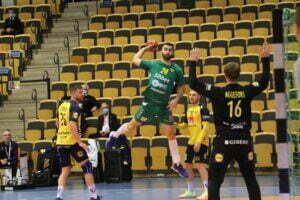 swe-mne-32_1619169577