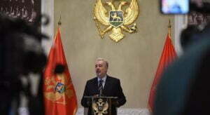 50883599448_ccb8eb923f_c