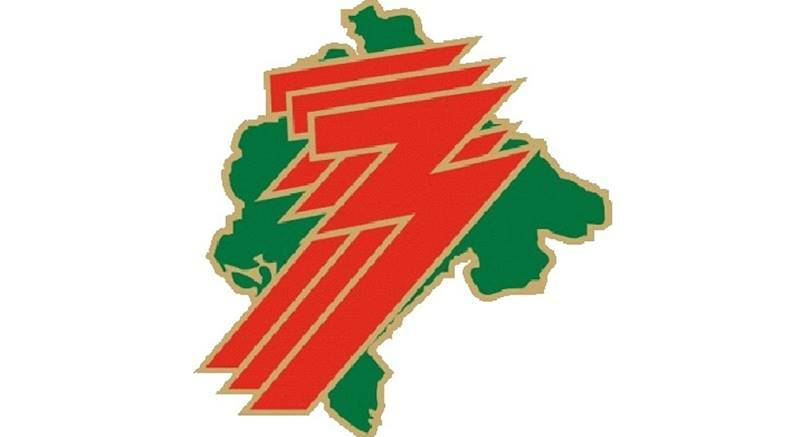 logo-zzzcg-pravi-g
