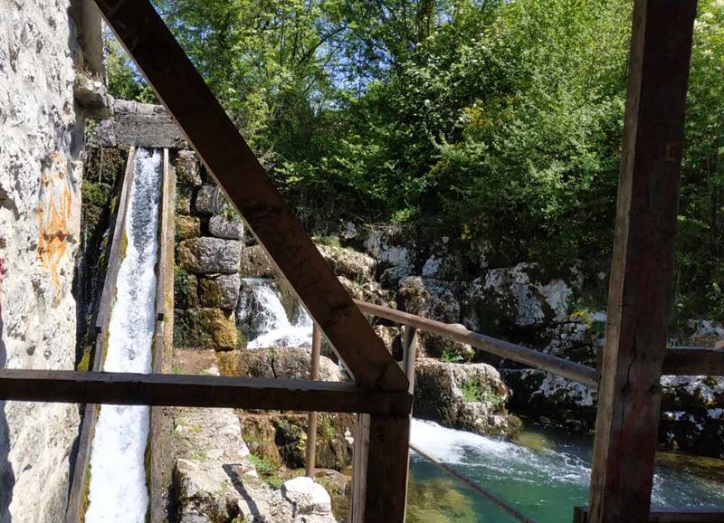 viber_image_2021-05-24_21-13-36