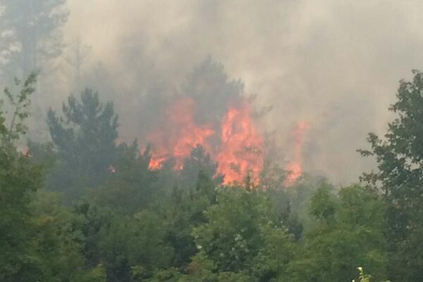 5352453_viber-image-20210725-142316759_ls-s