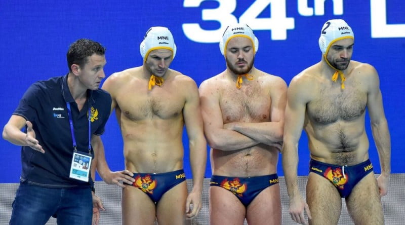 gojkovic-petkovic-spaic-brguljan-ajkule-1000x555