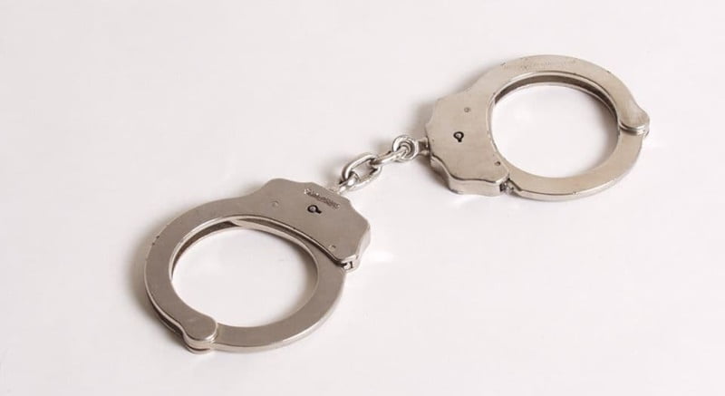 hapsenje_lisice_ilustracija_7