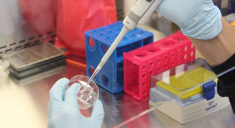 laboratorija