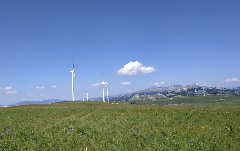 viber_image_2021-06-18_20-30-58