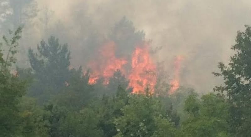 1627231917-5352453-viber-image-20210725-142316759-ls-s-i_960x600