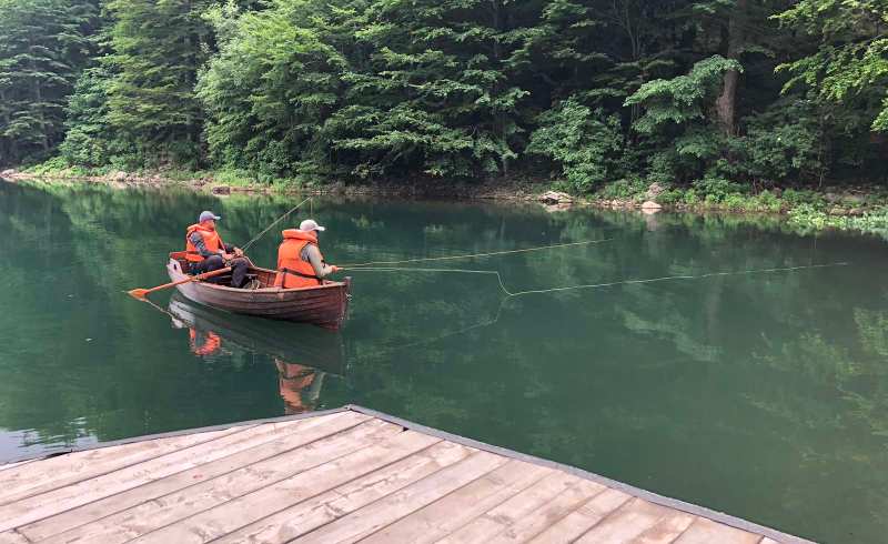 d17e46a4-a695-4614-b1d7-0faaacedb5d8