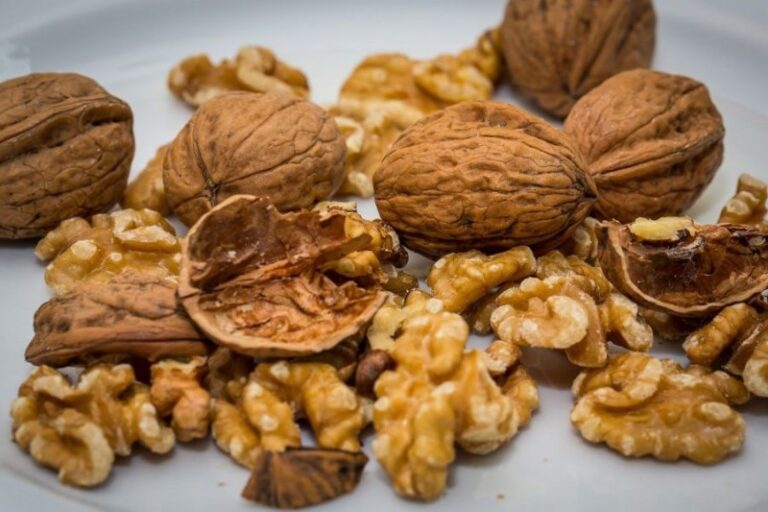 walnut-2816935_1280