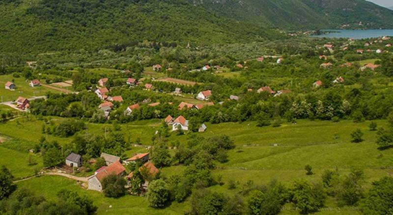 zupa_onogostme