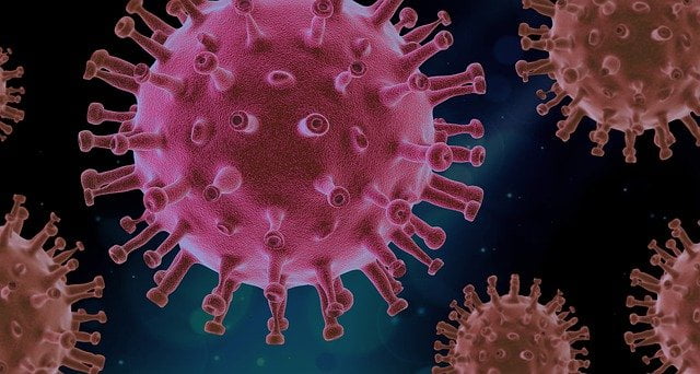 virus-g1f8808402_640