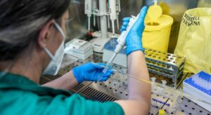 1596294277-img-8051-i_996x560