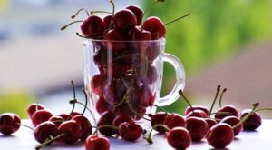 cherries-geb4954c28_1280