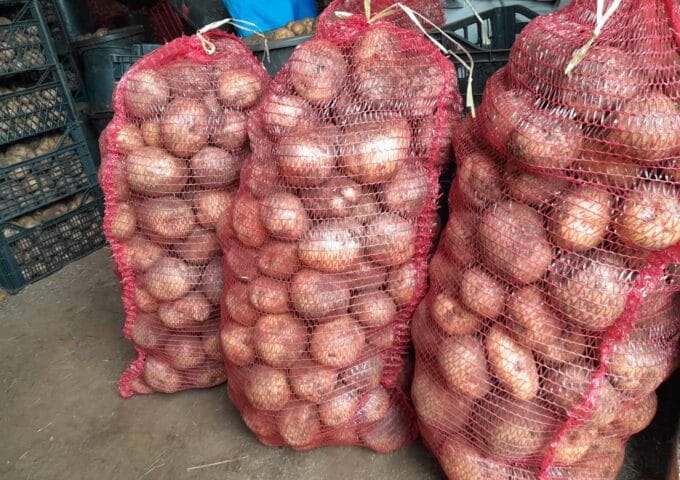 Thumbnail for the listing's main image