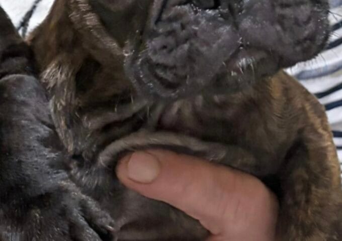 Thumbnail for the listing's main image