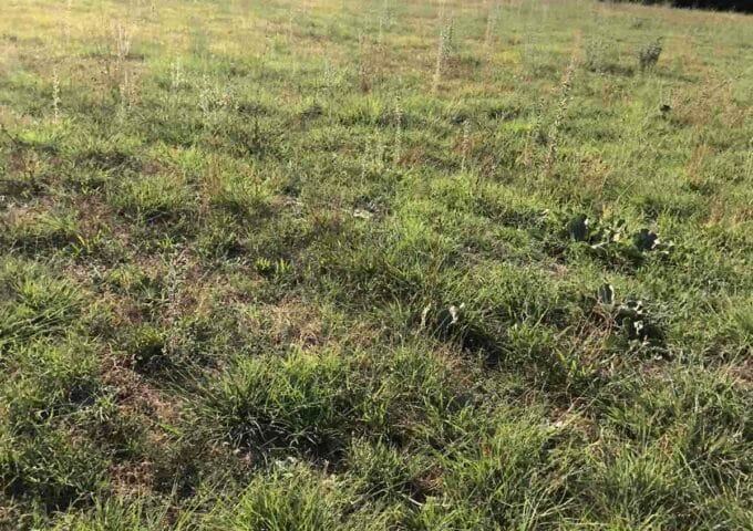 Thumbnail for the listing's main image