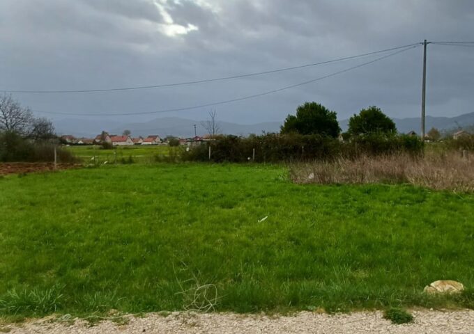 Thumbnail for the listing's main image