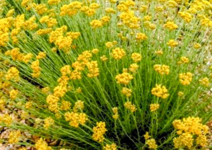 Thumbnail for the listing's main image